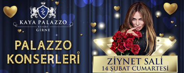 Ziynet Sali Konseri